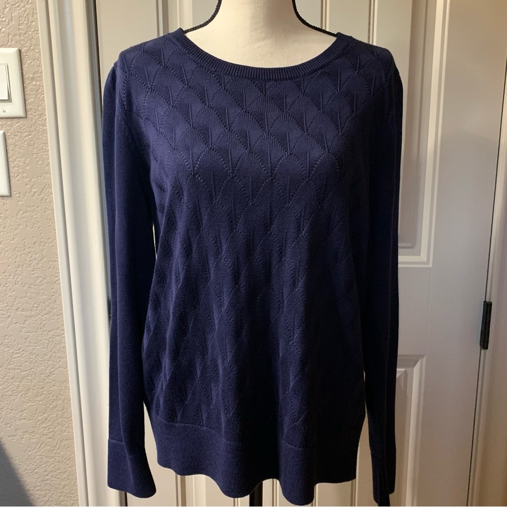 Banana Republic Factory Blue Sweater
